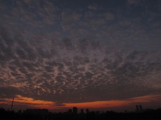 019460F3-266C-4E94-95AA-588931446BB1/L0/001