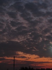 89202FC3-126A-4EEE-8193-1ADC173EF032/L0/001