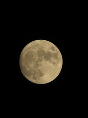 381496F3-DBA5-4C87-B736-7EDACDF8659F/L0/001