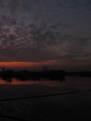 E599CCD3-2AB6-4D67-A996-7AD08D0DE2B8/L0/001