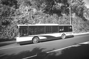 3410AB57-F7F3-4B46-A026-3F34AFA5CAA1/L0/001