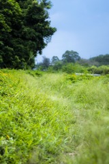 D020DC57-5F77-4A24-AE46-78EE09CF56D5/L0/001