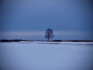 9363D698-0DC9-4BC1-9D0F-C1C1CE0273A7/L0/001
