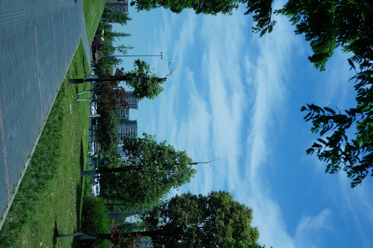 西门三环路也是拍飞机的最佳视角