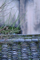 9F077474-89FD-429F-98A9-0828CD0B867D/L0/001