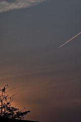 B9926C25-1C0A-429B-9F7D-3A9D13F83A98/L0/001