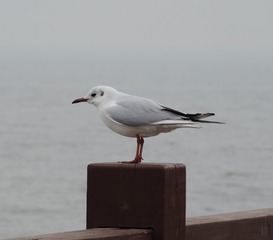 71673