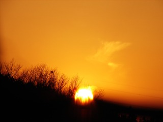2608575E-9E8D-416C-9A24-9605F265C81D/L0/001