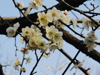 959D902A-1C55-4EB7-9A5F-AE523AD43D89/L0/001