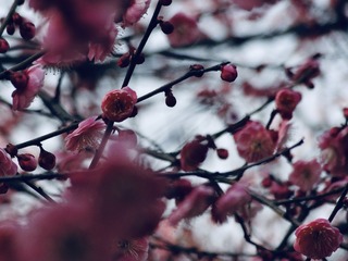 0DCDA855-031A-4C68-82FD-3E9BC7E94F42/L0/001