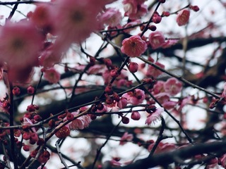 D84FF029-8783-4E19-AA4D-227D23AD2467/L0/001