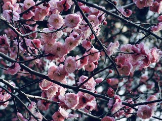 31C763A1-D190-4AE2-926C-ABF080391A7D/L0/001