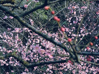 D7AF17D3-560C-466B-B1F2-4FFF9390248B/L0/001