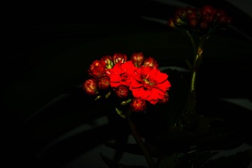 1152F75F-774D-4353-931B-E2F8B28EEE3C/L0/001