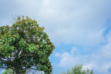 6825C667-C21A-4E3D-A3B0-4518513DF903/L0/001