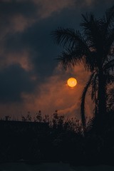 1000023626