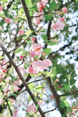 F64982A6-CC3D-48AD-8C2E-CAEB9FAA7257/L0/001