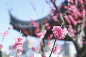 3EB3749A-98DA-411A-960E-5A373A7F54B1/L0/001