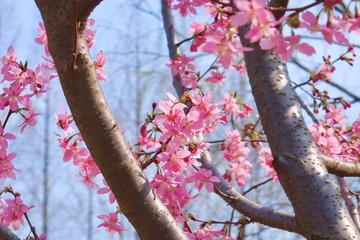78482D40-D0D2-47CF-B8B4-47EDB5952DD4/L0/001