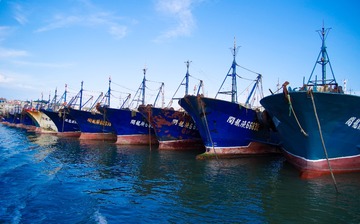 981176