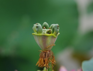 20180610095049