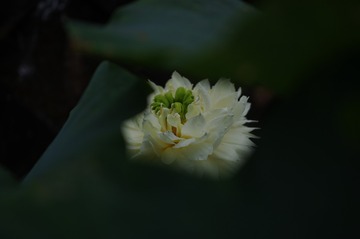 20180610095331 (2)