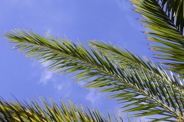 5B0A6D8B-9880-4E82-A169-0B463CA27499/L0/001
