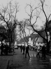 IMG_20130119_172755.jpg
