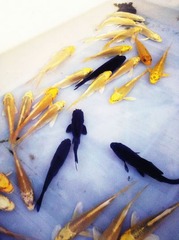 IMG_20130127_163007.jpg