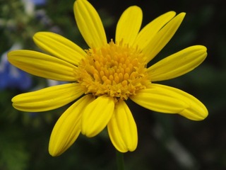 58BDA272-BD95-4608-897D-A4212E6C6709/L0/001