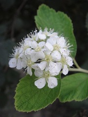 45E10CAD-5D55-450C-8D77-A131501BF02A/L0/001