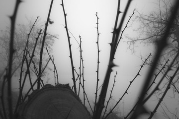 SDIM0020-1