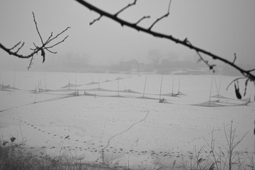 SDIM0023