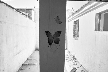 SDIM0115