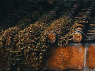 252498