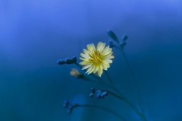1109296