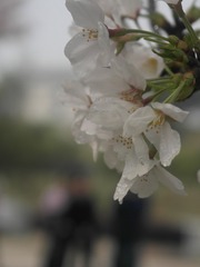 43E87216-94AF-4DB8-96AC-A3FDFCB70194/L0/001