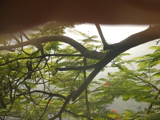 E94DAC8A-4735-489D-8CF7-13A971166B43/L0/001