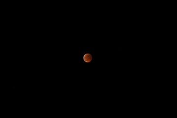 31122C66-6506-436F-BD97-525E7706CA6D/L0/001