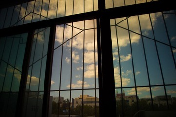 IMG_7395.jpg