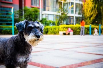 IMG_7436.jpg