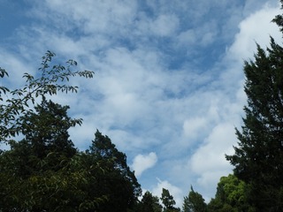50AAC670-8EA8-464C-BFFD-DDBBC5EF2B96/L0/001