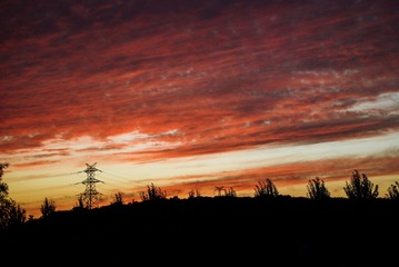 C74599C0-6CF5-4AA3-86DE-5D6A467F54D6/L0/001