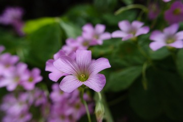 DD68F9CA-07DA-4341-97C4-A2A491B3D660/L0/001