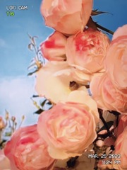 A3CE3435-7EC3-46EA-8851-9764F540FF3F/L0/001