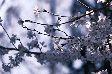 0FF06C88-DAA0-413C-8634-1DD697CDCEA3/L0/001