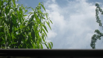 6F4DF233-B73A-4D10-A818-90FE0E006E63/L0/001