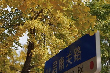 D3A09634-6734-4832-A1D9-6433FC513FDF/L0/001