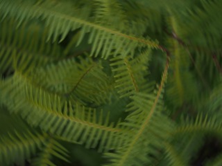F1D9B683-B8D4-46A3-91D2-8D6D61F4B368/L0/001