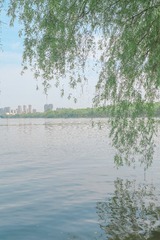 20050